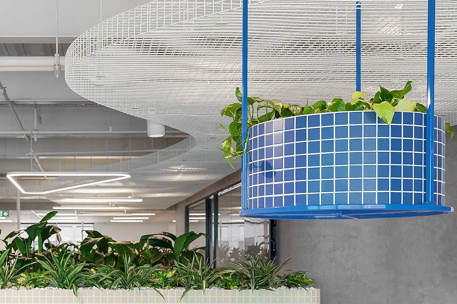 Epic Energy Biophilic Design Workplace